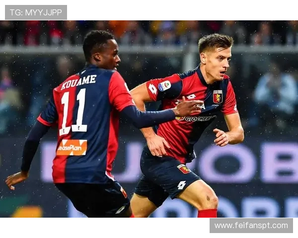 意甲球队主场介绍大全